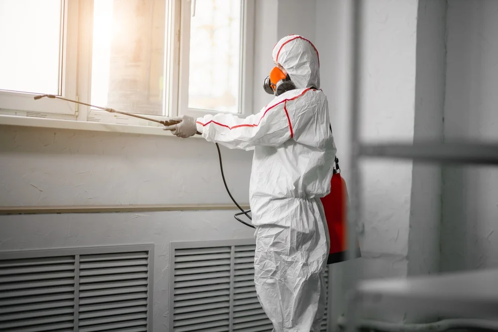 Professional mold remediation services in Cache Junction, UT